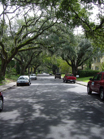 DSC01165