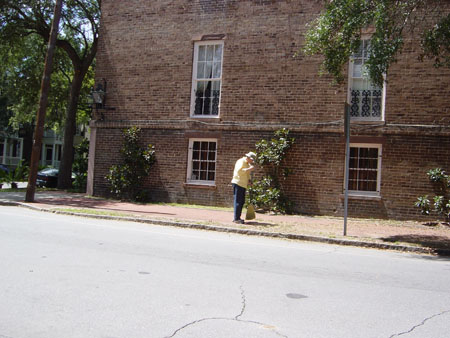 DSC01174