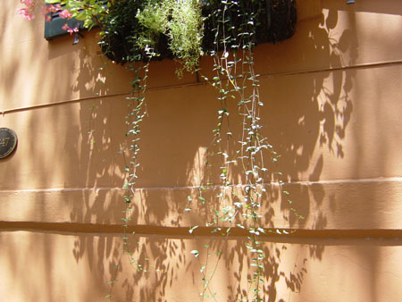 DSC01189